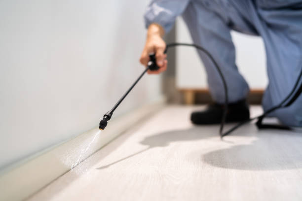 Professional exterminator conducting IPM assessment in Cascade Locks