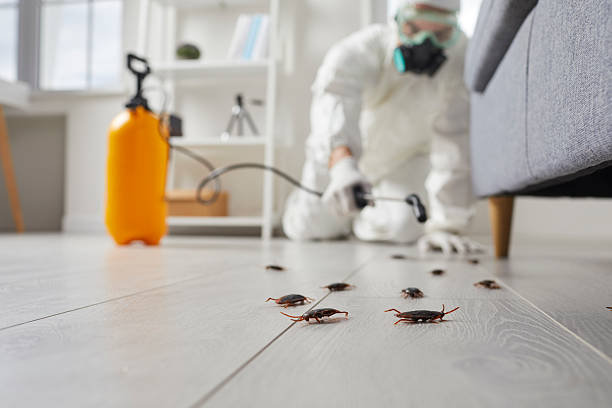 Commercial Kitchen Cockroach Control in Cascade Locks